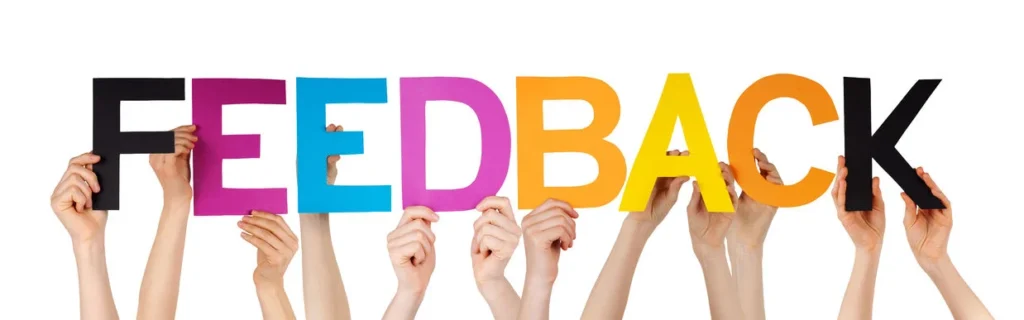 homemade pickles online